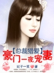 总裁猎爱:豪门一夜宠妻